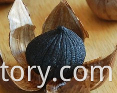 black garlic single solo clove black garlic